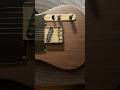 Firefly “George Harrison” Tribute Telecaster Style Rosewood Composite Guitar