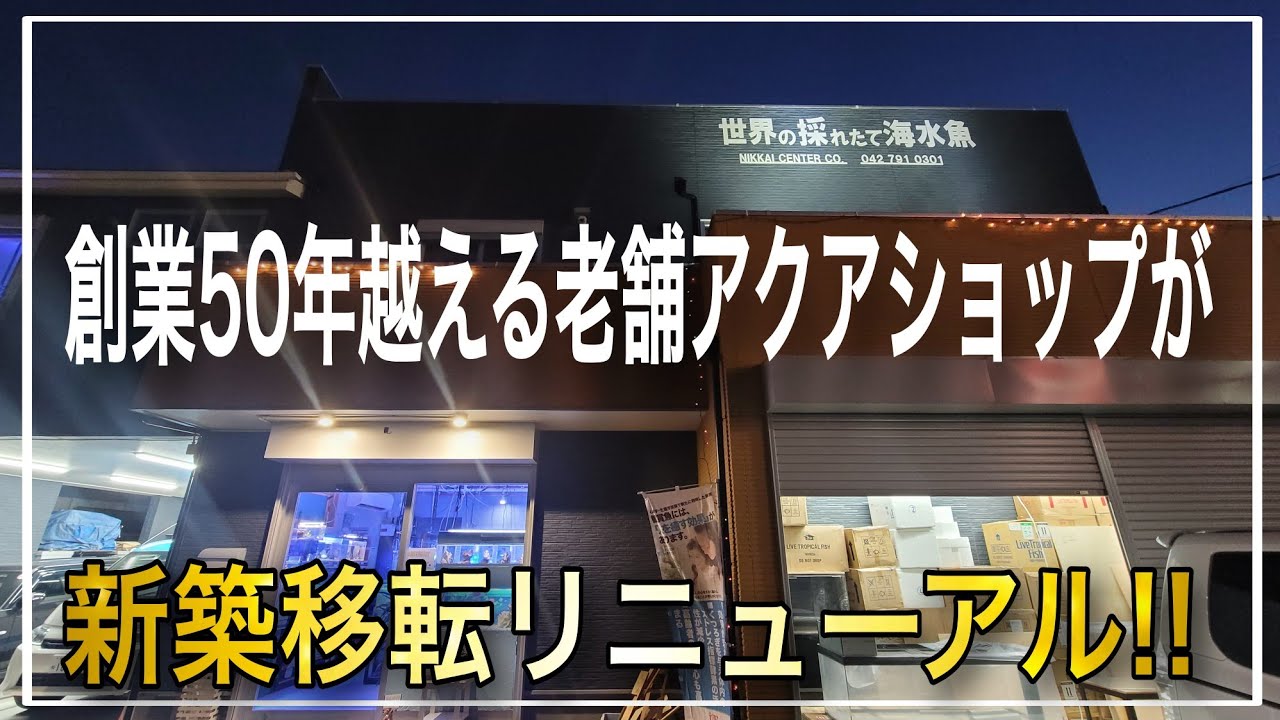 創業50年の超老舗アクアショップが新築移転してリニューアルオープン!!　日海センター　aquarium　アクアリウム　海水魚　金魚　熱帯魚　サンゴ　水槽