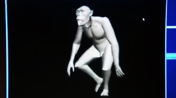 Animated Reconstruction of Evolution | BBC Studios