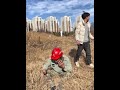 I'm not insulting you, why did you hit me #OriginalVideo #Yunnan #Liu Erwa #DouyinPromotion #GoViral