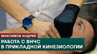 видео: Работа с ВНЧС в прикладной кинезиологии. Максимов Андрей картинка: Работа с ВНЧС в прикладной кинезиологии. Максимов Андрей