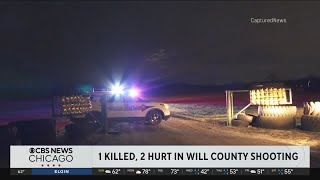 1 killed, 2 hurt in Will County, Illinois shooting Wealth