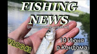 Рыболовные новости (короткие отчёты с рыбалок) 19 июня р.Кондома