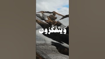 القارئ محمد صديق المنشاوي #اكسبلور #راحة_نفسية #قرآن #القرآن_الكريم #ايات_قرانيه_قصيره #viralvideo