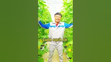 Nông Dân Làm Nông Nghiệp Công Nghệ Cao sẽ như thế nào? #nongdan #nongnghiep #nongnghiepcongnghecao