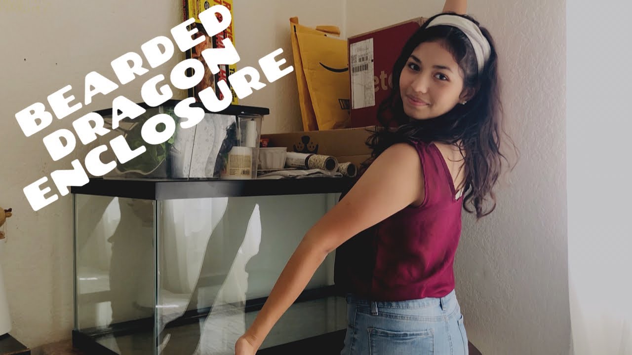 BEARDED DRAGON ENCLOSURE (Unboxing + Haul + Setup)