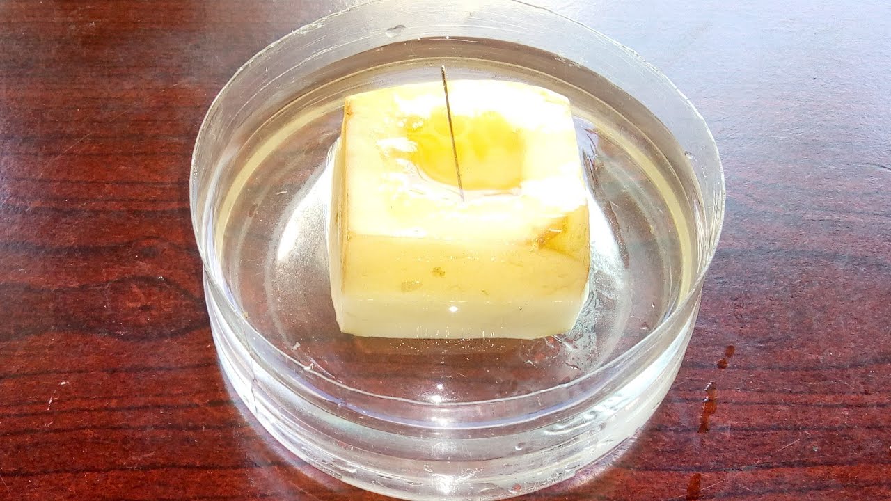 Study Of Osmosis Potato Cup Experiment Transport In Plants Study Of Osmosis Potato Cup Experiment Transport In Plants