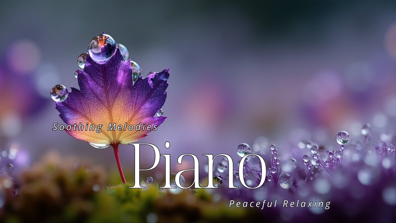 Soothing Piano Melodies for Deep Sleep & Stress Relief - Peaceful ...