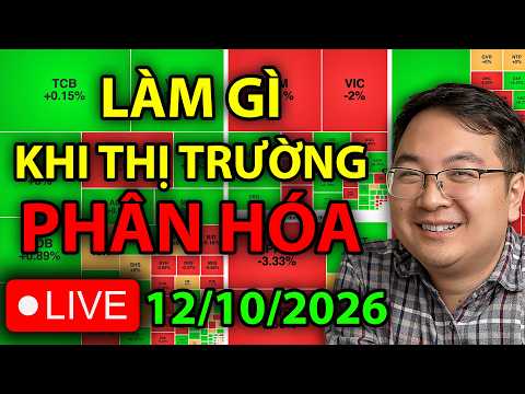 Hành động Tối ưu khi thị trường phân hóa! - Trọng Tài Chính