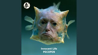 Innocent Life