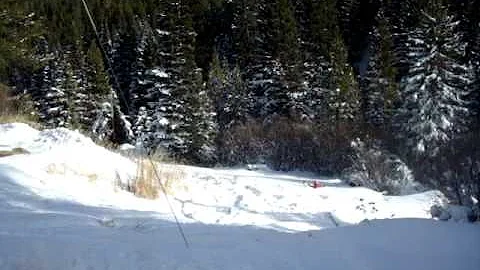 MOV06315