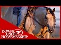 Clinton Anderson: Square Pen Control, Part 2 - Downunder Horsemanship