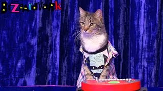 Puff And Frankie  Bizaardvark  Disney Channel