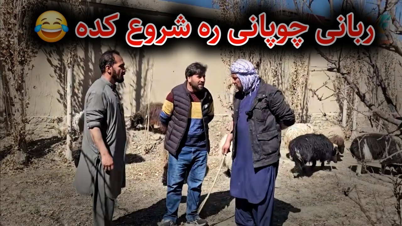 توزیع گوشت گوسفند برای هموطنان ما 😊