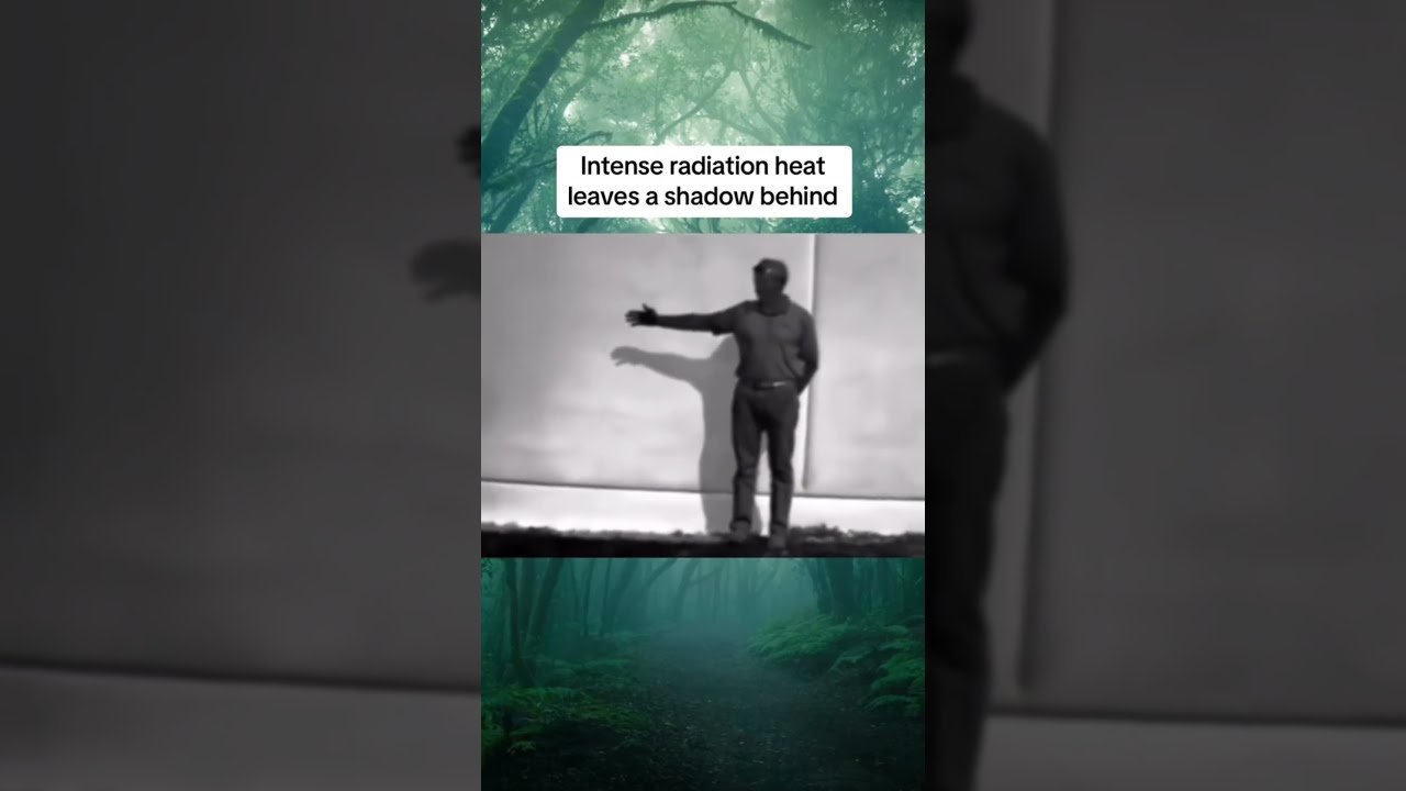 Things Humans We Re Never Meant To See Shorts Memes
