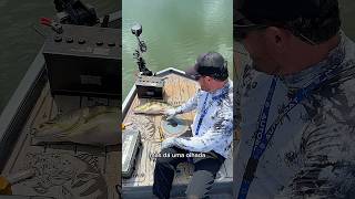 Não acredito que esse peixe atacou a isca de superfície #fishing #pescaria #pesca