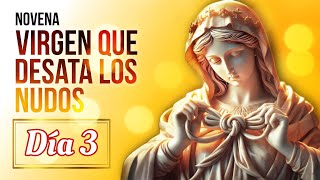 Día 3 | Novena a la Virgen Desatanudos  | Wilson Tamayo