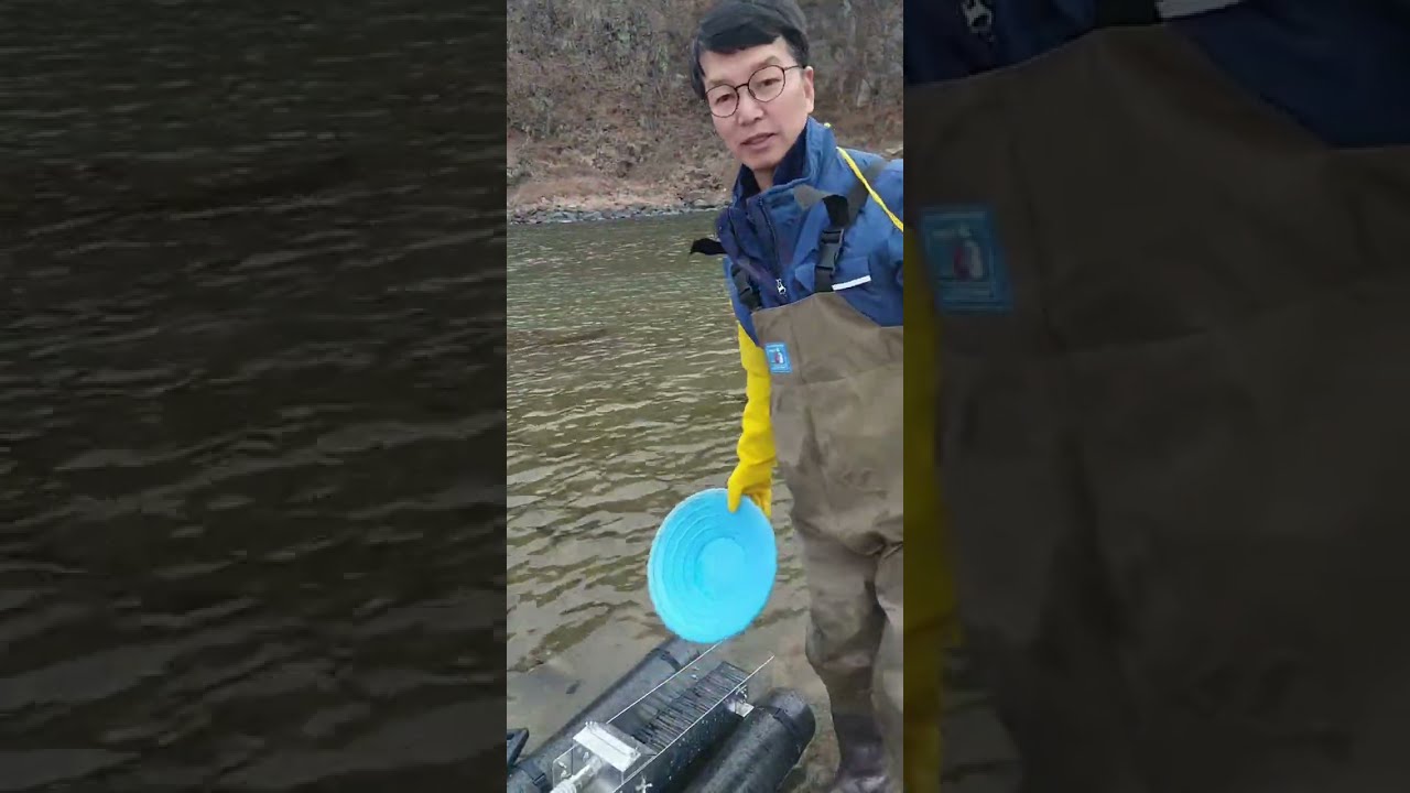 홍천강 사금 개탐(틱톡 라이브 편집 2026, 3월 3일)