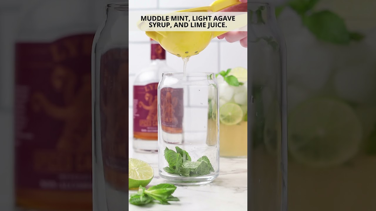 The BEST Mint Mojito Mocktail   