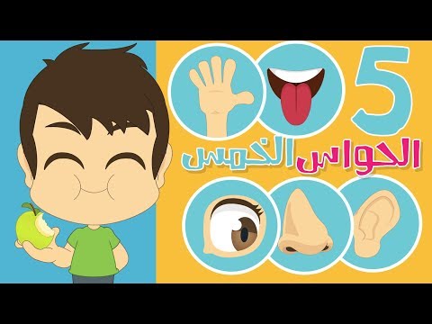 تعلم الحواس الخمس مع زكريا | الحواس الخمس للاطفال باللغة العربية - تعليم الحواس الخمس بطريقة سهلة