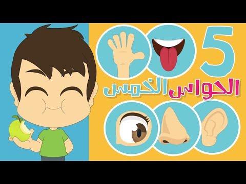 فيديو: ما هي الحواس الخمس؟