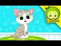 野良猫を助けて | マークの動物病院 | まめきゅん MAMEKYUNN