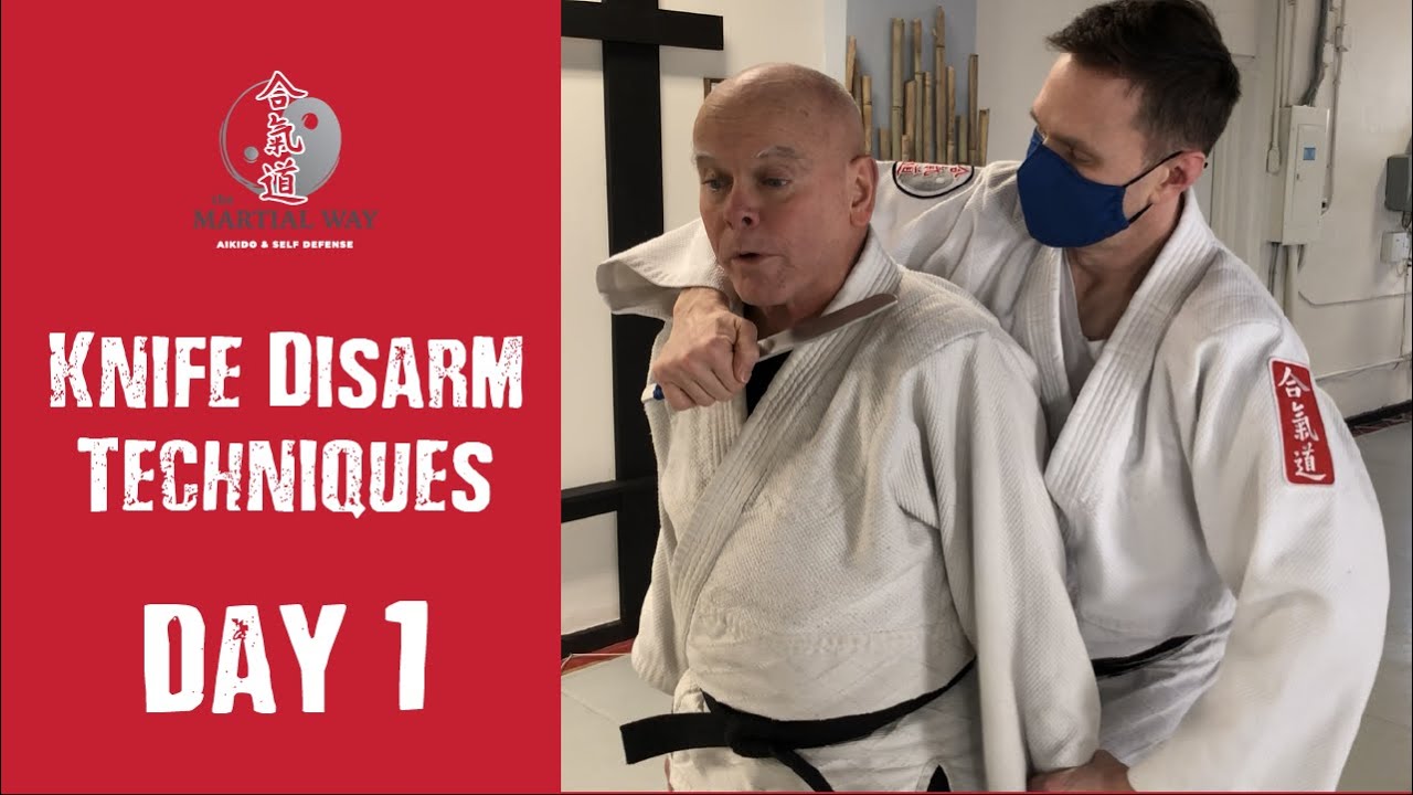 Knife Disarm Tactics Knife Self Defense Aikido Training YouTube