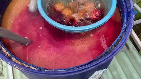 Xử lý nước giếng khoan nhiễm sắt có mùi tanh bám vàng bằng bồn 220l có thật sự hết sạch