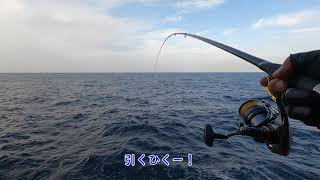 【五島列島】嵯峨ノ島　崖の下3番～平瀬