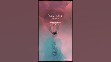 ♥️ لا يكلف الله نفسا الا وسعها♥️#سورة_البقرة #ياسر_الدوسري #قرآن #yasseraldossary #quran #fypシ