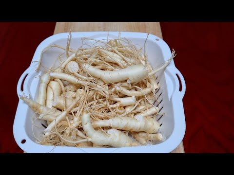 Video Cách Làm Sâm Tươi Xay Nhỏ Ngâm Mật Ong - youtube