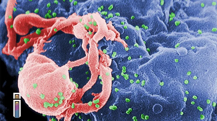 Top 5 Biggest Scientific Discoveries Of The 21st Century So Far