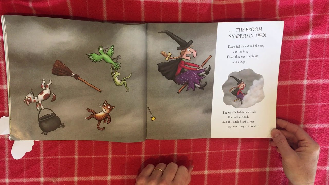 Room on the Broom read aloud - Julia Donaldson - YouTube
