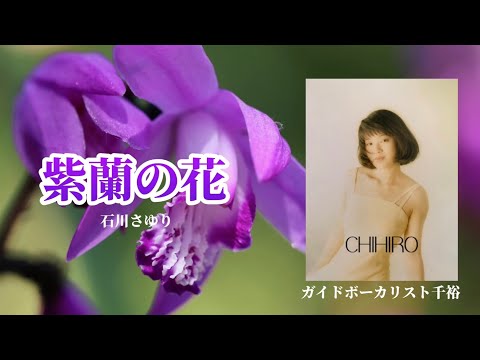 紫蘭の花（石川さゆり）、歌：ガイドボーカリスト千裕