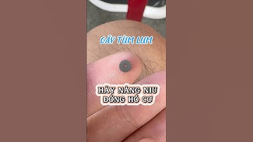 Gãy bánh răng đồng hồ vì rơi từ độ cao 3 mét #dongho #suachuadongho