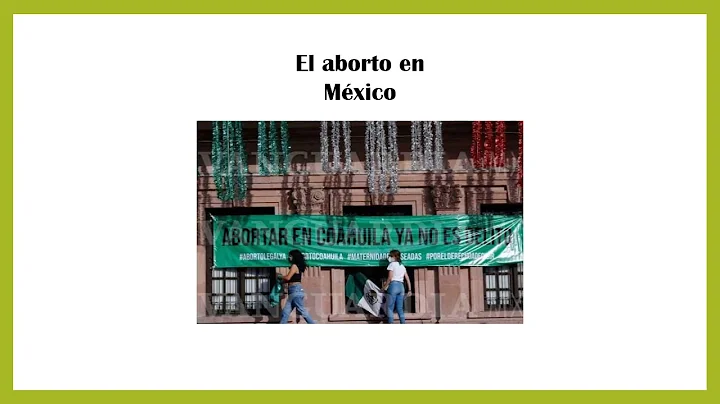 el aborto alejandra cantu
