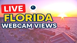 🌴Florida Live: Webcam Views! - MIAMI - FORT LAUDERDALE - ORLANDO - KEY WEST✨🌴