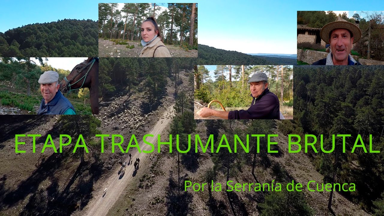 ETAPA TRASHUMANTE BRUTAL (Serranía de Cuenca)