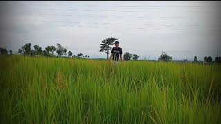 Download Lagu Cover gitar melodi Aisyah istri rasulullah MP3