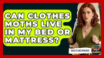 Can Clothes Moths Live In My Bed Or Mattress? - Insects and Invaders