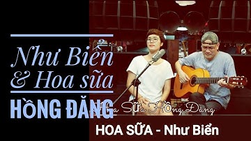 HOA SỮA - Hồng Đăng / Như Biển cover