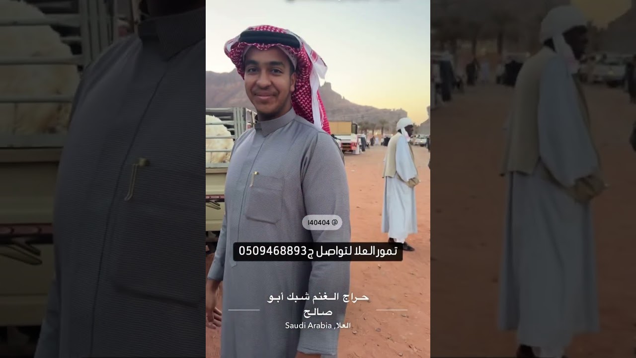 سوق الماشيه العلا برمضان  الاربعاء 1447/9/1 