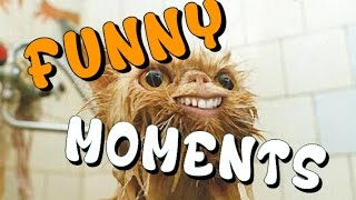 I Momenti Migliori!  Funny moments