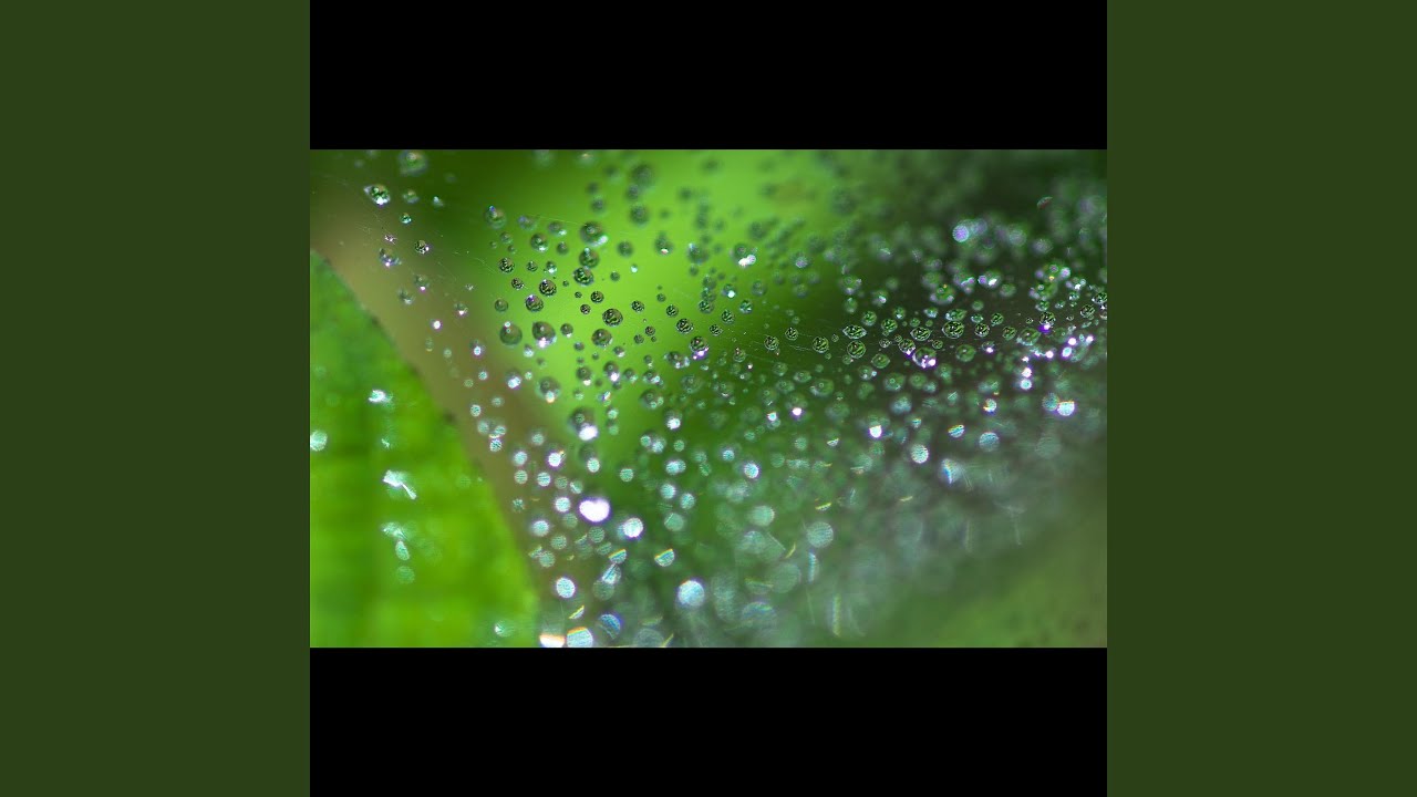 Watch Spring Drops on YouTube Watch Spring Drops on YouTube