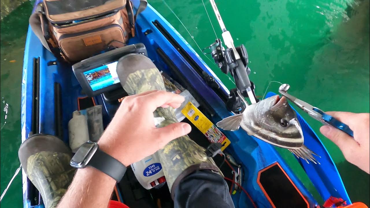 kayak drag race 24 pound thrust watersnake versus 30 pound thrust minn