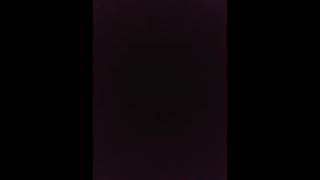 Plutos Best Donalds Ducks Goofys Bird Daisys Dance