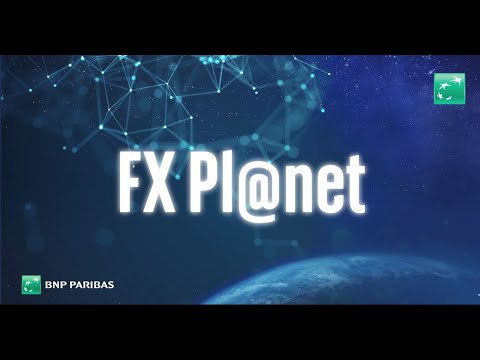 FX [email protected] – Internetowa Platforma Wymiany Walut BNP Paribas