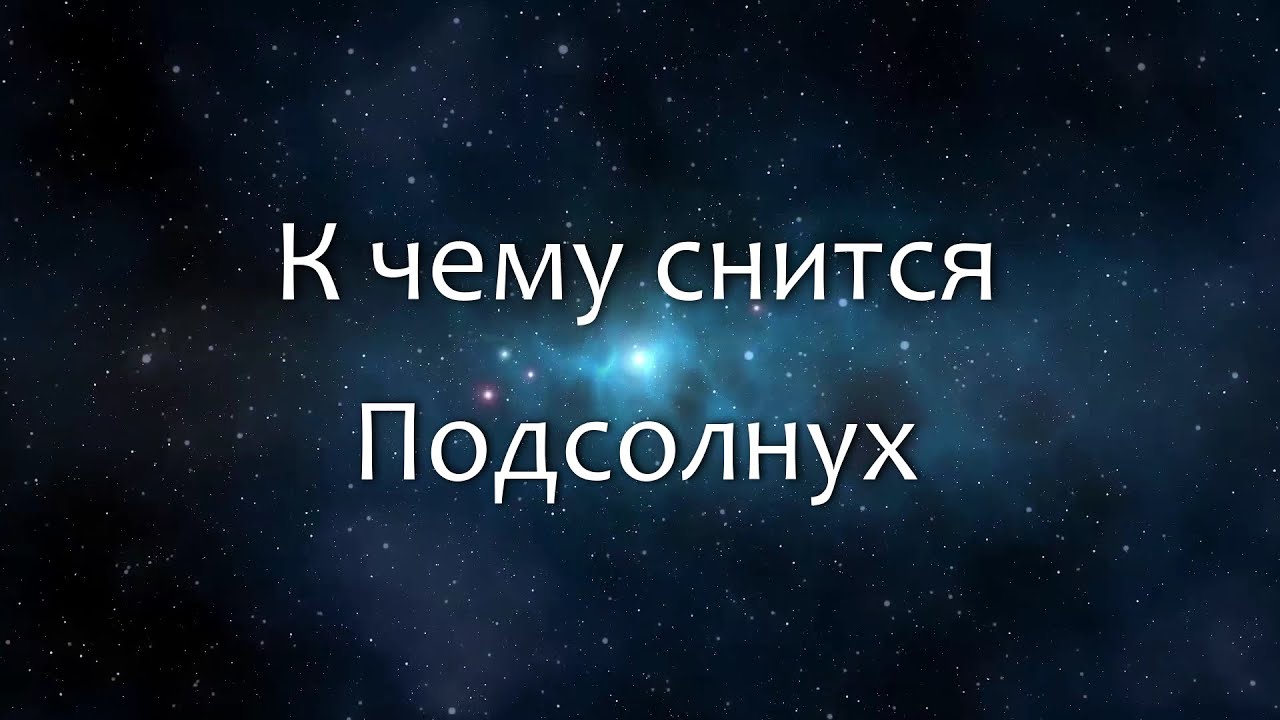 К чему снится Подсолнух (Сонник, Толкование снов)