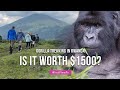 Gorilla Trekking In Rwanda S Volcanoes National Park 