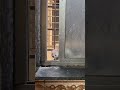 Rat Knocks on Window Daily for Food